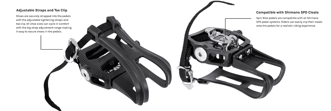Lifespan Fitness SM810 Commercial Spin Bike