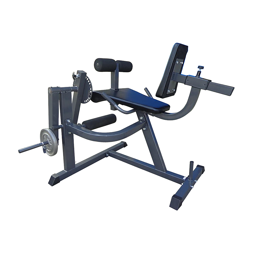 RTM Leg Extension Curl Machine