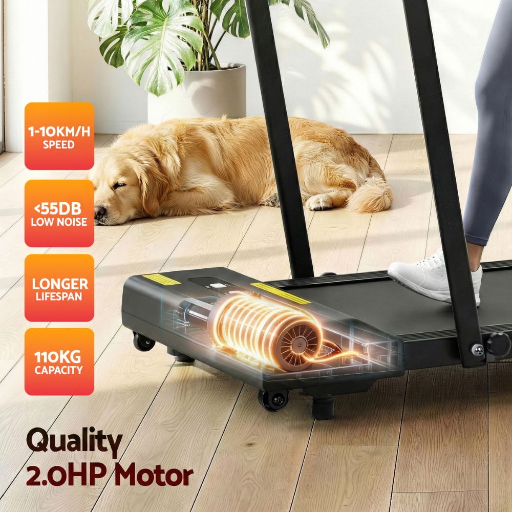 Everfit 380 WalkingPad Treadmill (Black)