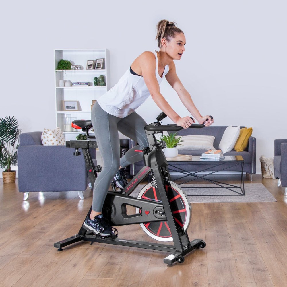 Lifespan Fitness SP-310 M2 Spin Bike