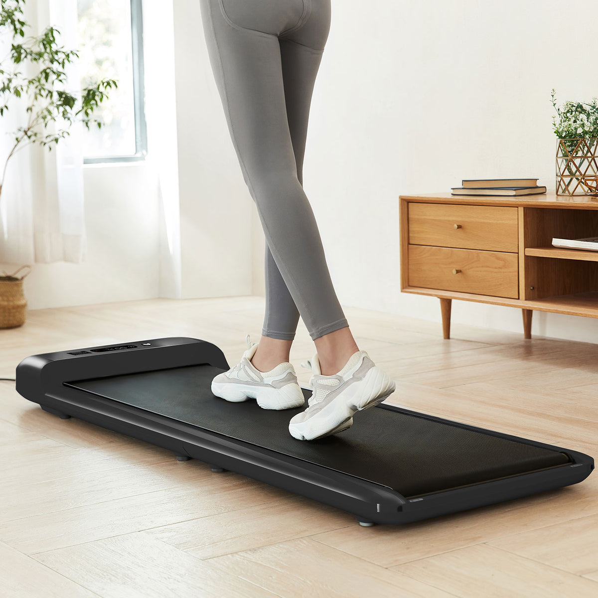 Lifespan Fitness WalkingPad - M2 Treadmill
