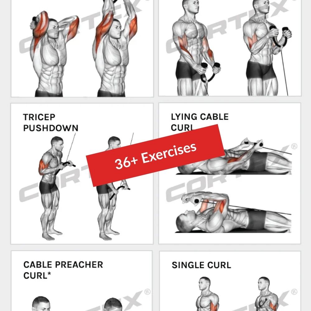 CORTEX SM-25 6-In-1 Power Rack With Smith & Cable Machine