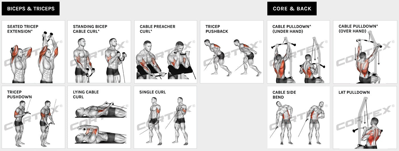 Cortex Gs7 Home Gym Exercises Arms and Back