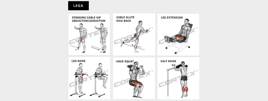 Cortex GS7 Multi-Station Home Gym with Power Tower and Squat Press (73kg or 96kg Weight Stack Options)