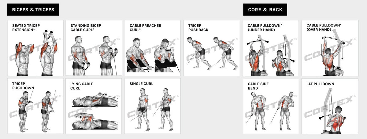 CORTEX SM-25 6-In-1 Power Rack With Smith & Cable Machine Package (Set C) with BN9 Bench + 100kg Olympic Weight Plate & Barbell Package