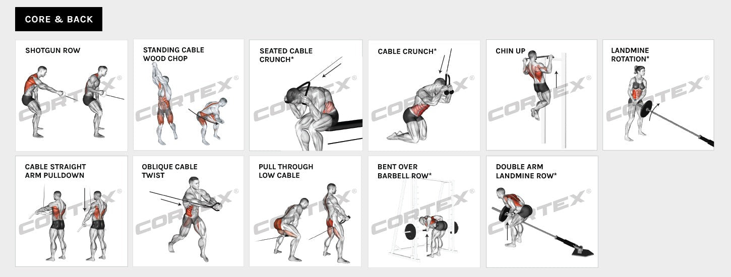 CORTEX SM25 Power Rack Exercise Chart 3
