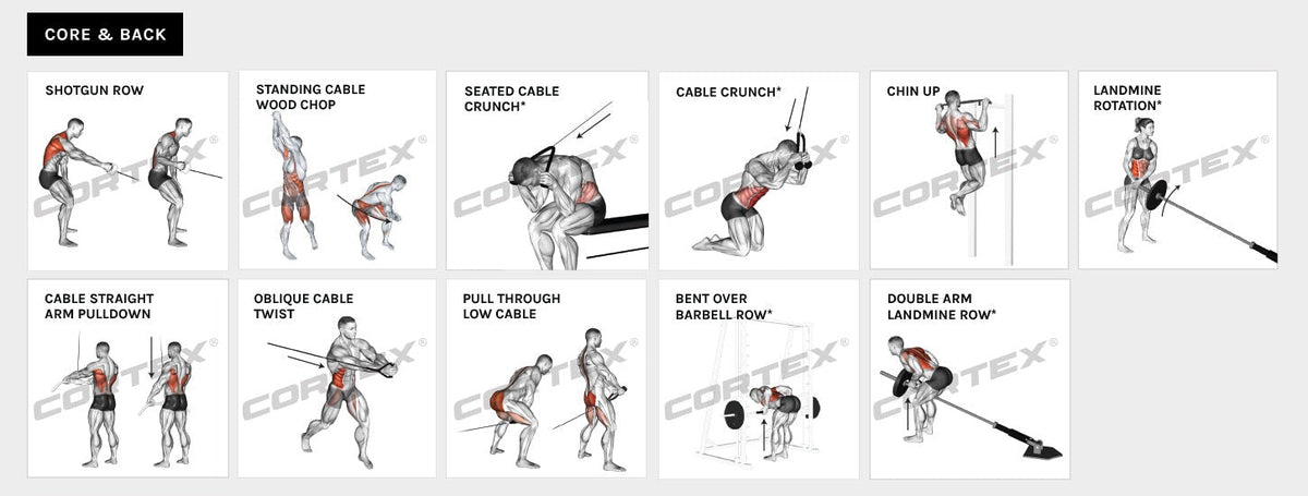 CORTEX SM-25 6-In-1 Power Rack With Smith & Cable Machine Package (Set C) with BN9 Bench + 100kg Olympic Weight Plate & Barbell Package