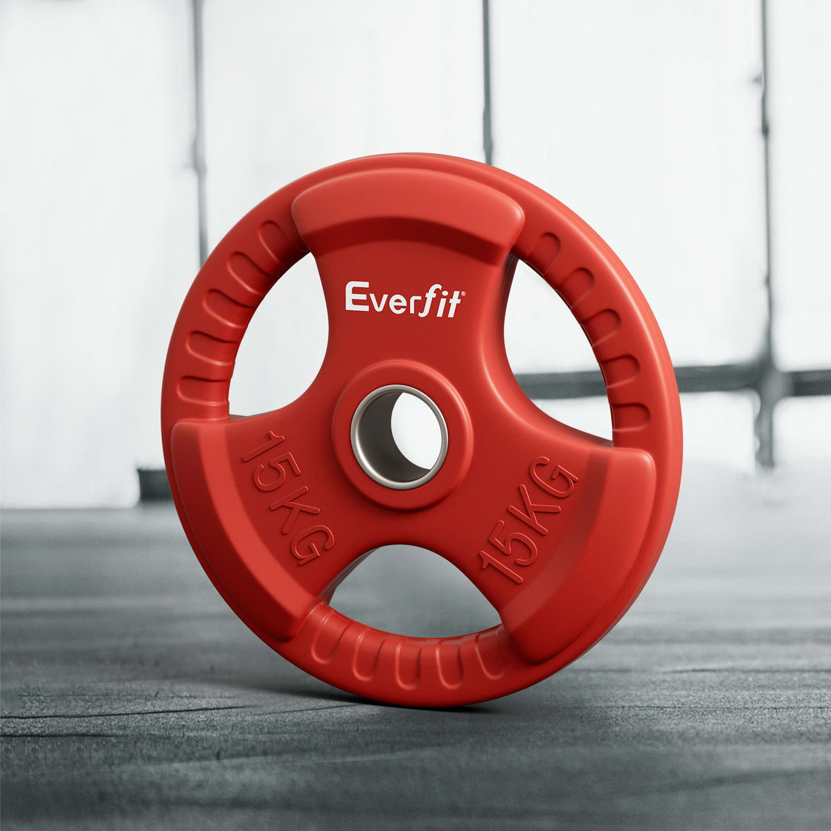 Everfit 15kg Weight Plate