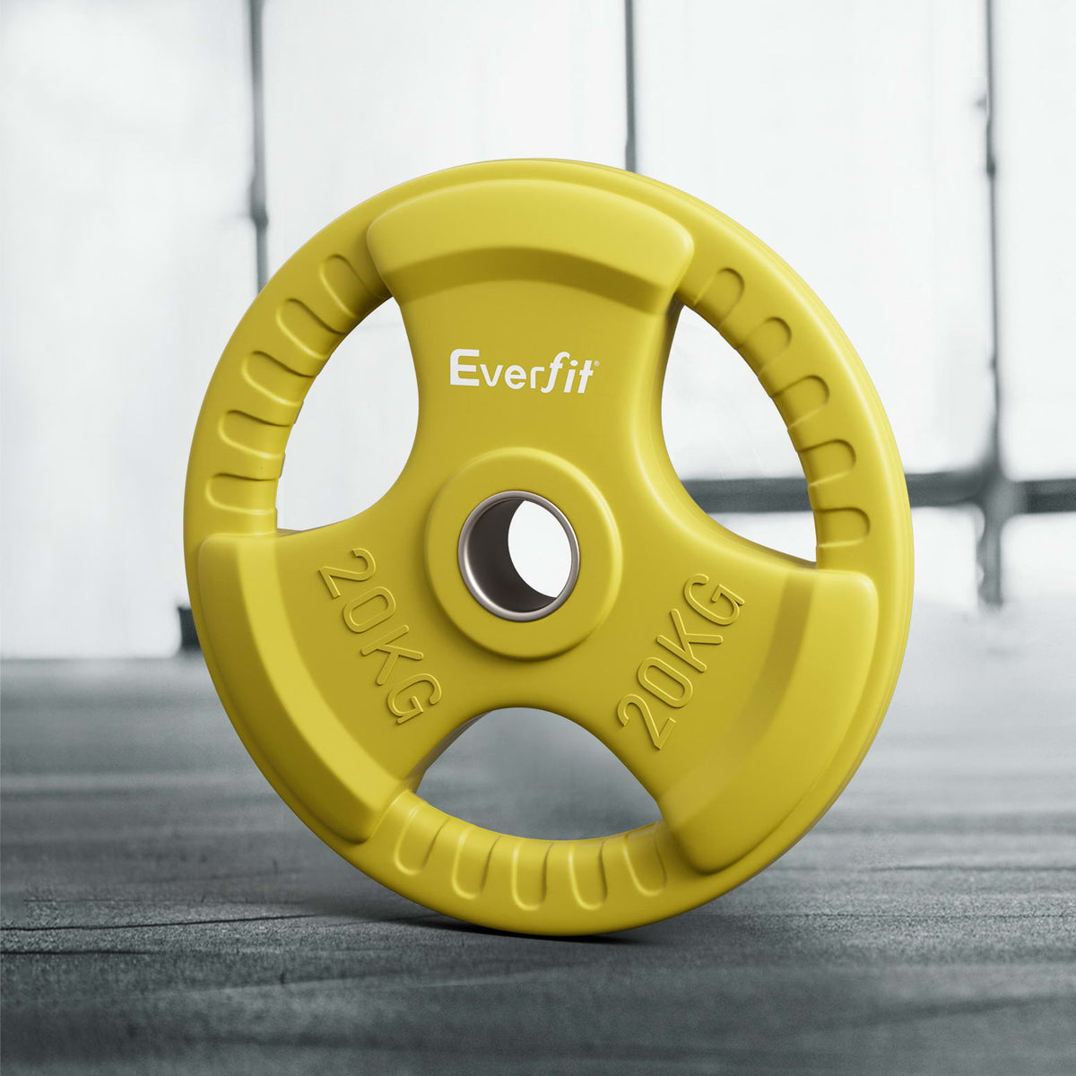 Everfit 20kg Weight Plate