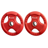 Everfit 15kg Weight Plate (Pair)
