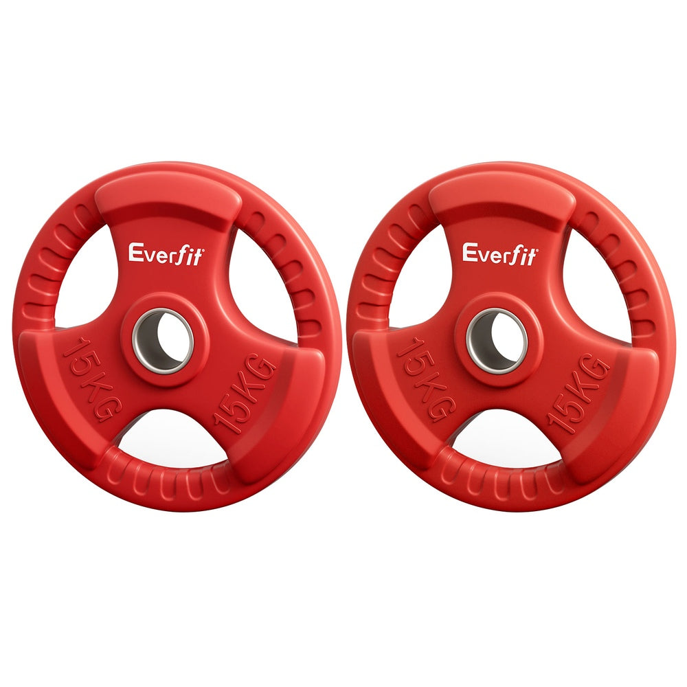 Everfit 15kg Weight Plate (Pair)