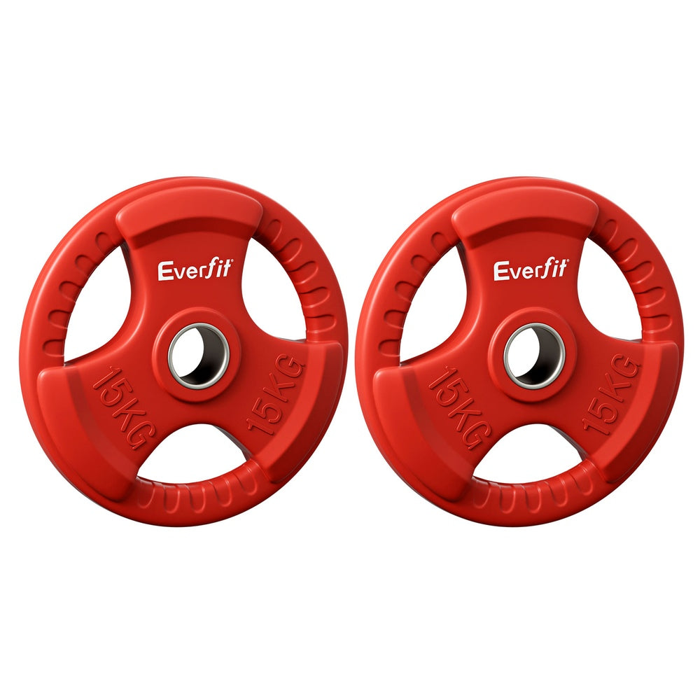 Everfit 15kg Weight Plate (Pair)