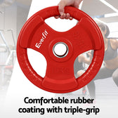 Everfit 15kg Weight Plate (Pair)