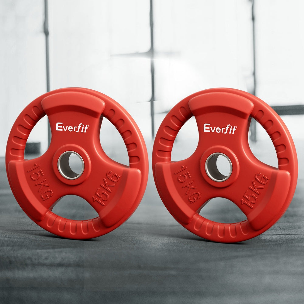 Everfit 15kg Weight Plate (Pair)