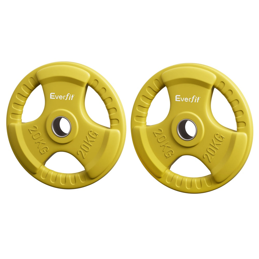 Everfit 20kg Weight Plate (Pair)