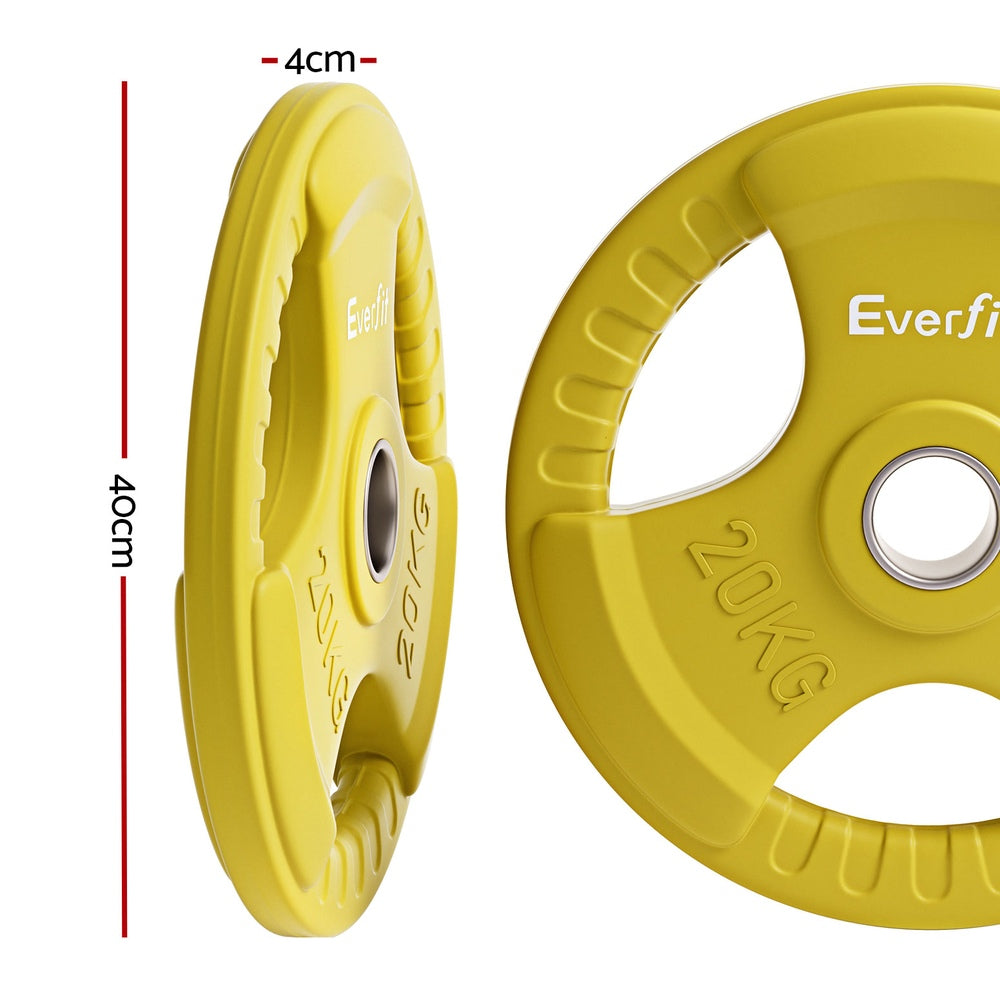 Everfit 20kg Weight Plate (Pair)