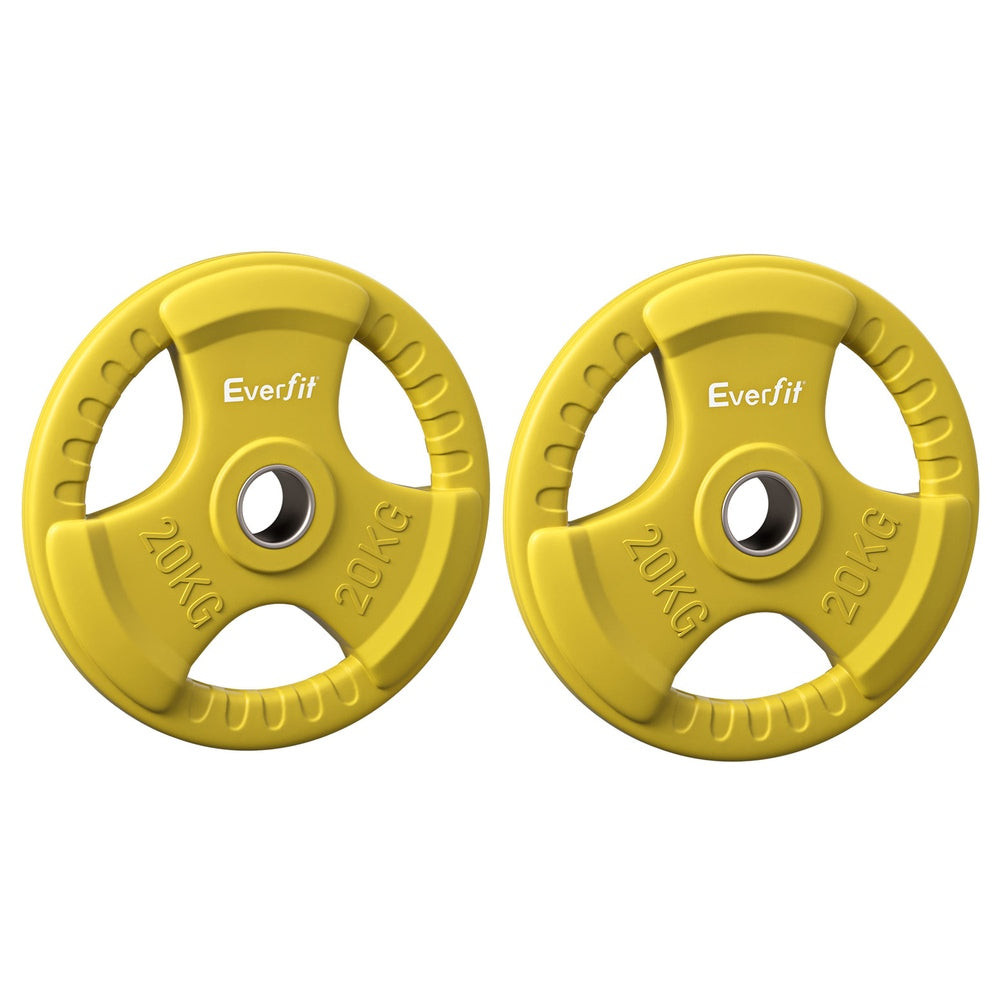 Everfit 20kg Weight Plate (Pair)