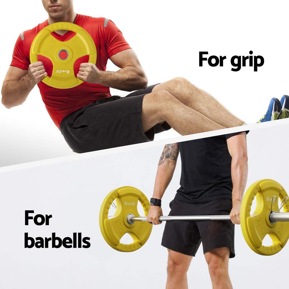 Everfit 20kg Weight Plate (Pair)