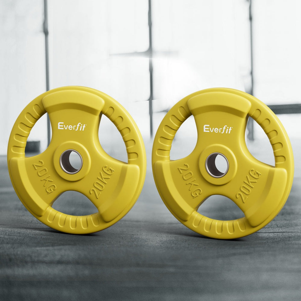 Everfit 20kg Weight Plate (Pair)