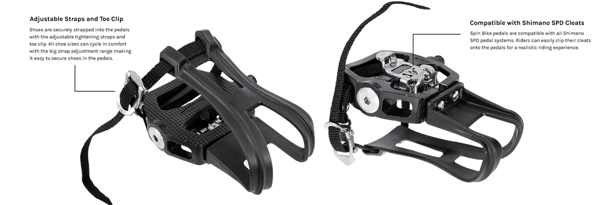 Lifespan Fitness SM810 Commercial Spin Bike