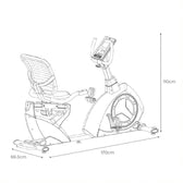 Lifespan Fitness RC-300 Recumbent Bike