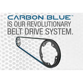 Schwinn AC Performance Plus Spin Bike With Carbon Blue Belt Drive