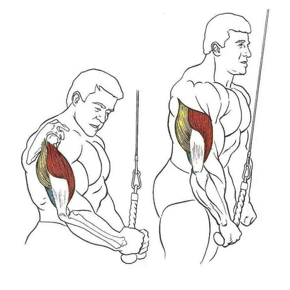 RTM Single Grip Tricep Pulldown Rope Cable Attachment