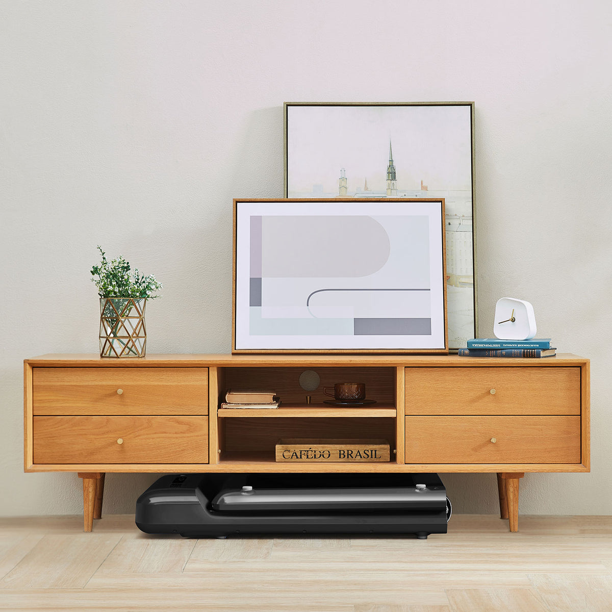 Lifespan Fitness WalkingPad M2 Treadmill