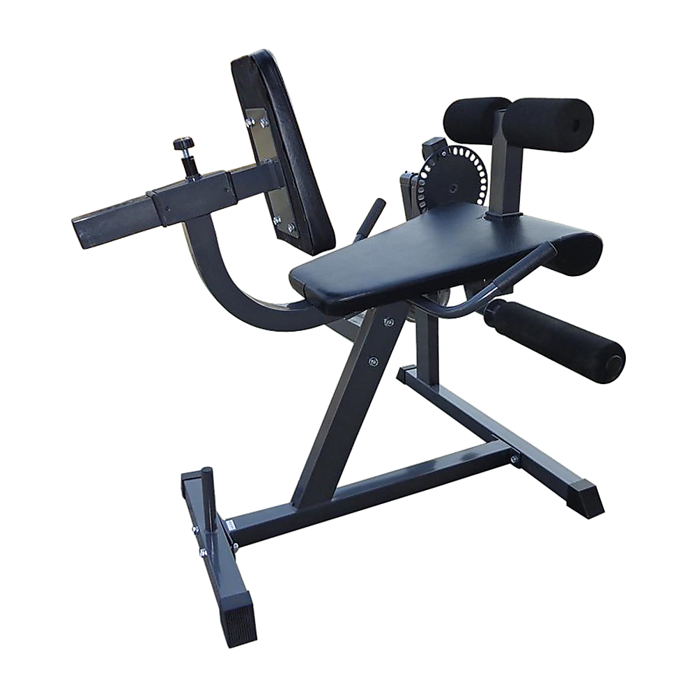 RTM Leg Extension Curl Machine