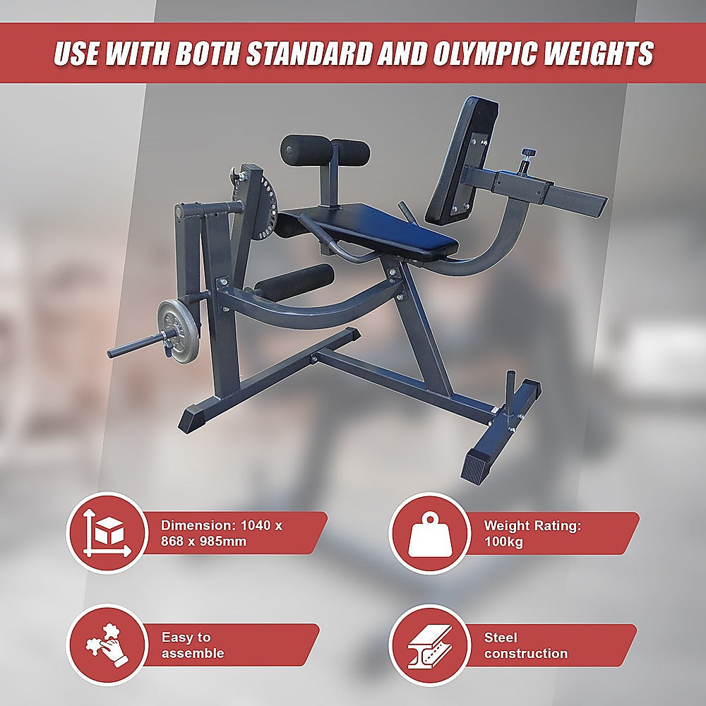RTM Leg Extension Curl Machine