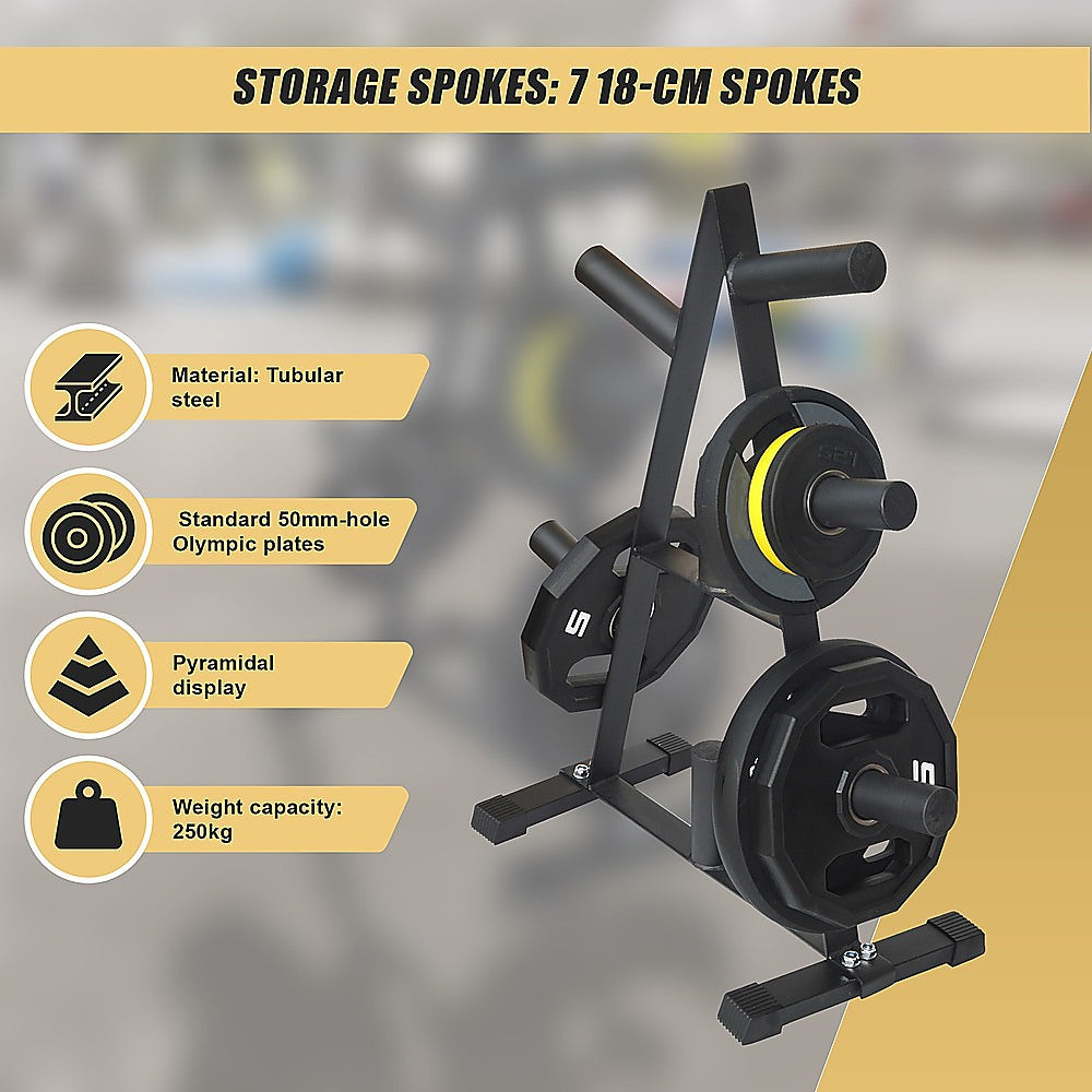 RTM Olympic Weight Plate Storage Rack 250kg Capacity