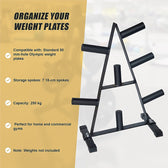 RTM Olympic Weight Plate Storage Rack 250kg Capacity