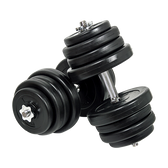 RTM 50kg Dumbbells (Pair)