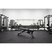 CORTEX FID11 Alpha Series Commercial FID Bench
