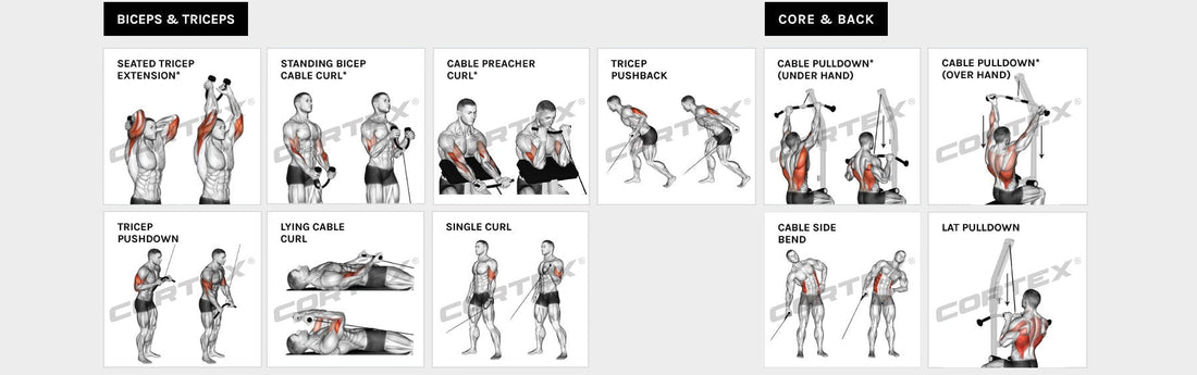 CORTEX SS3 Home Gym with Integrated Front/Rear Fly