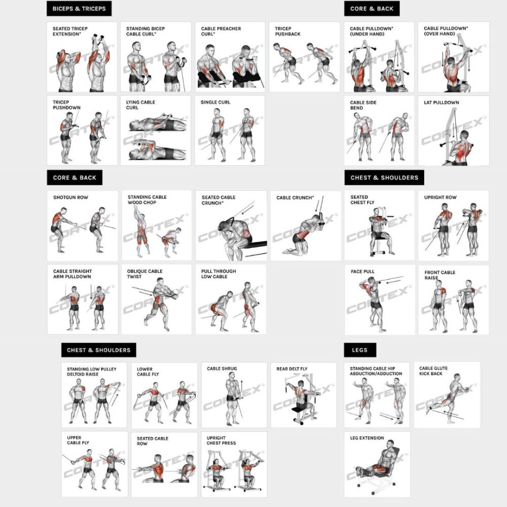CORTEX SS3 Home Gym with Integrated Front/Rear Fly