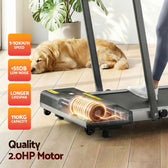 Everfit 380 WalkingPad Treadmill (Grey)