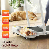 Everfit 380 WalkingPad Treadmill (White)