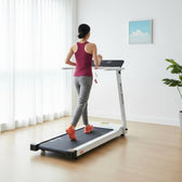 Everfit CHI450 M610 Treadmill Full Product View