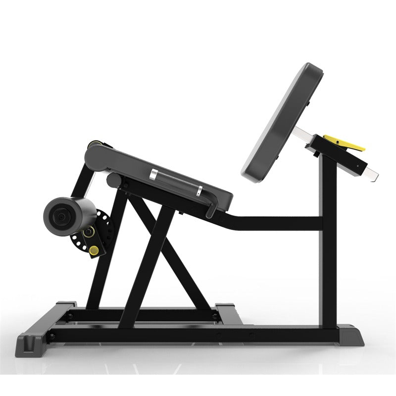 Impulse IFP1605 Leg Extension