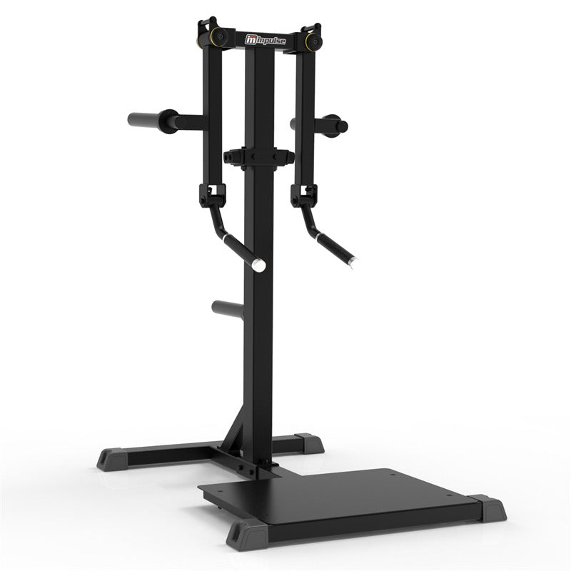 Impulse IFP1103 Standing Lateral Raise