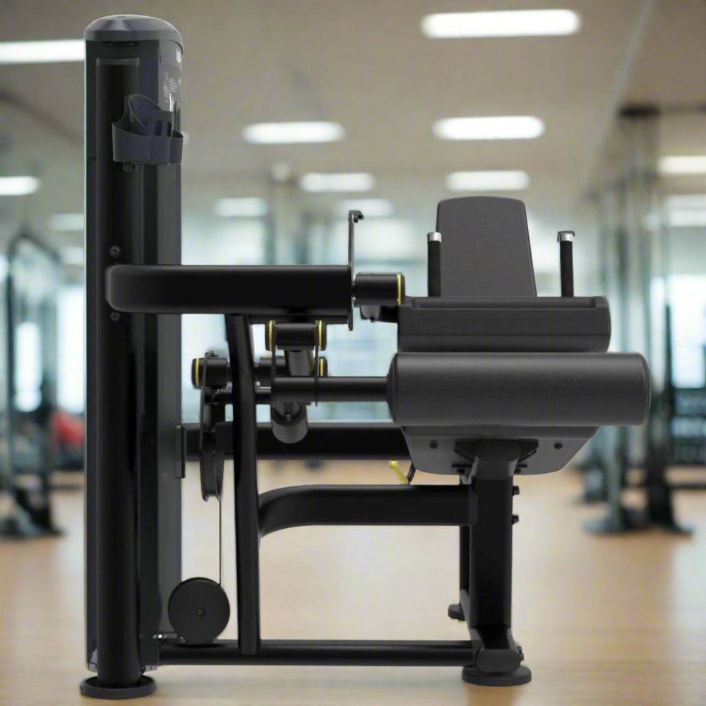 Impulse IT9506 Seated Leg Curl