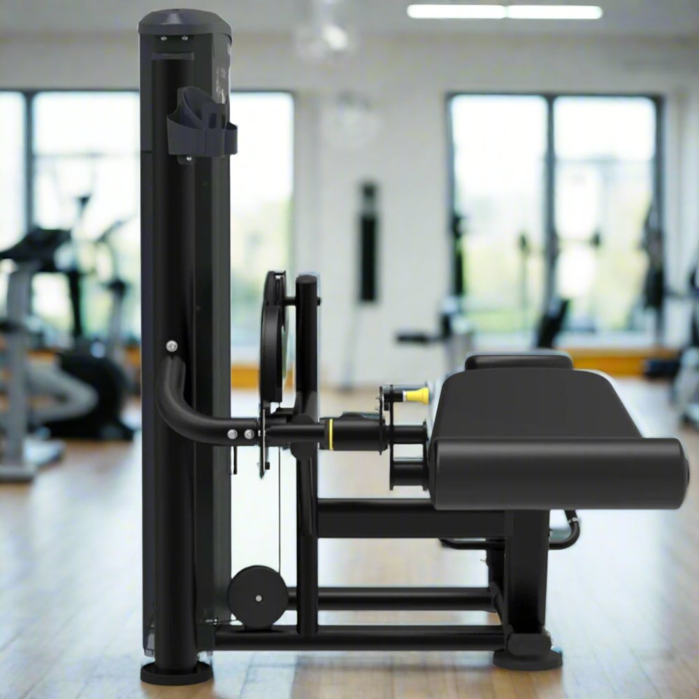 Impulse IT9521 Prone Leg Curl