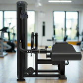 Impulse IT9521 Prone Leg Curl