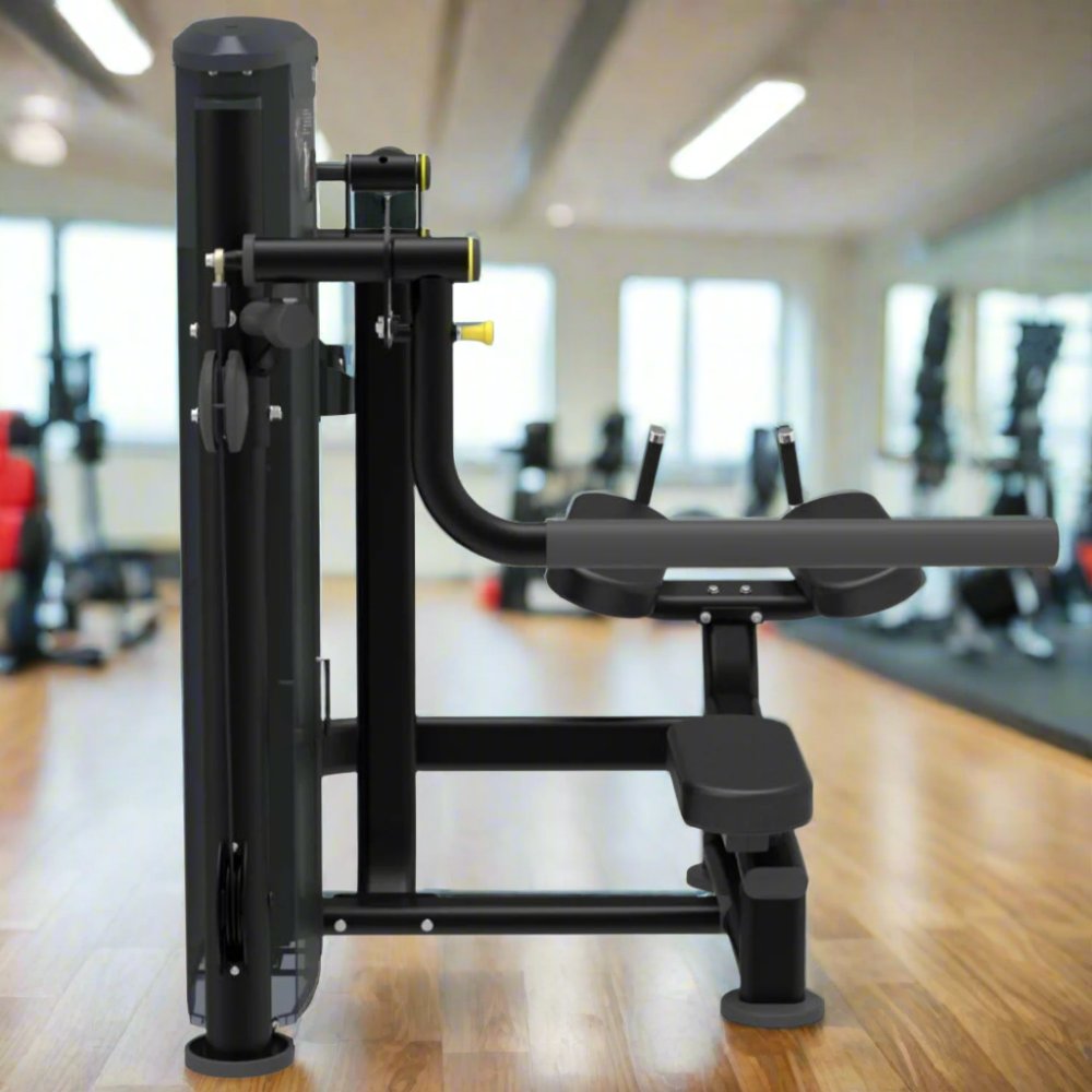 Impulse IT9526 Glute Kickback