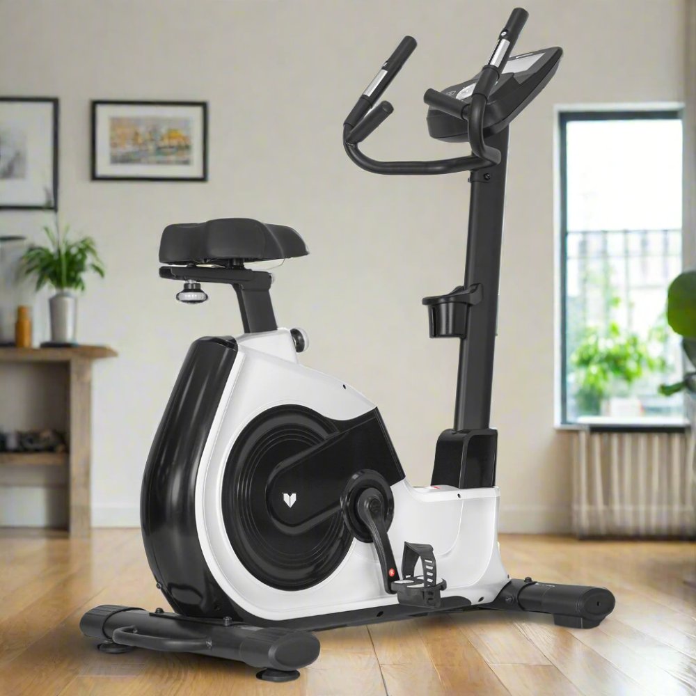 Lifespan Fitness EXC-100 Commercial Exercise Bike