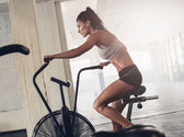 Lifespan Fitness EXC-10H Commercial Air Bike