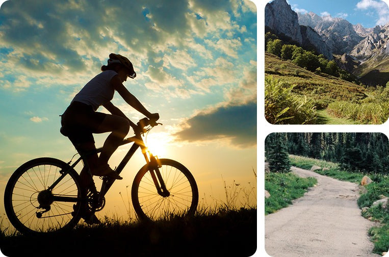 Lifespan Fitness EXER-80 Exercise Bike has 12 built in programs for effective results