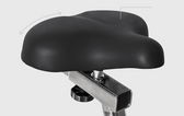 Lifespan Fitness EXER-80 Exercise Bike