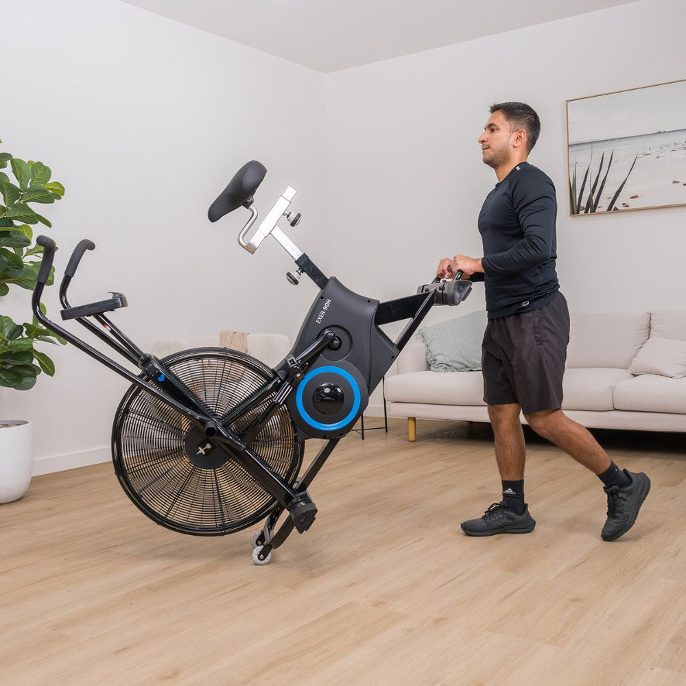 Lifespan Fitness EXER-90H Exercise Bike